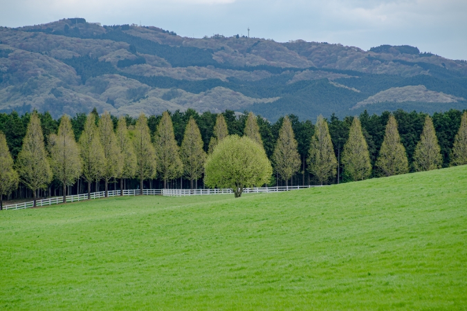 寒暖差の激しい気候と自然災害の少ない安全な土地