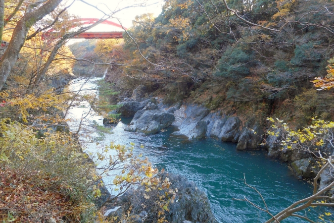 世界遺産と温泉、食
