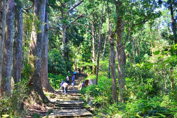 一年を通して楽しめる和歌山の魅力