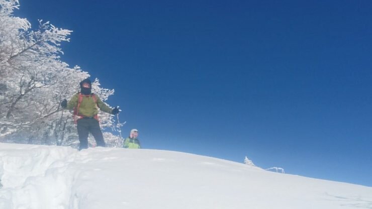 IMG-9059-740x416.jpg